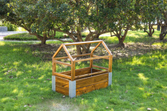 Wisdom Gew�chshaus